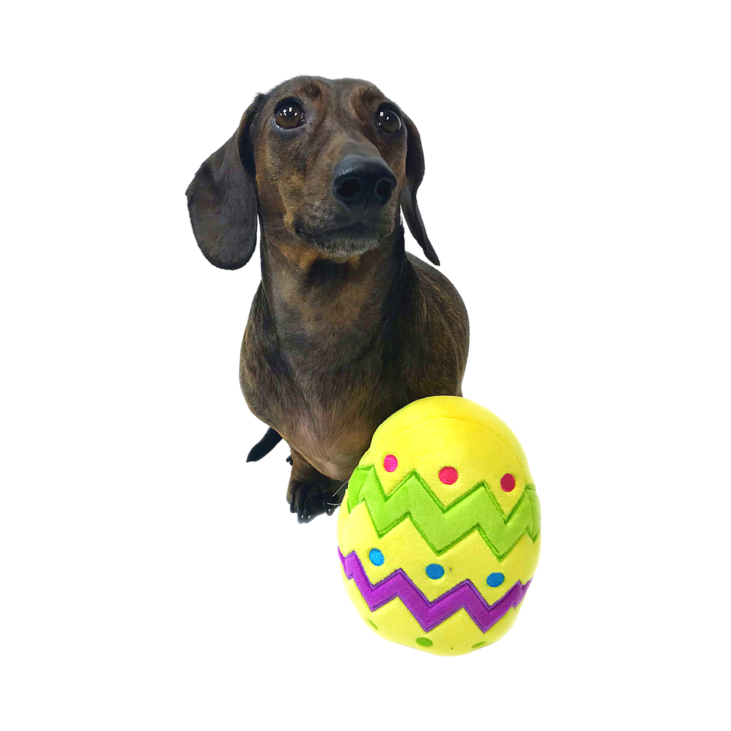 Plush Easter Egg Dog Toy with Squeaker