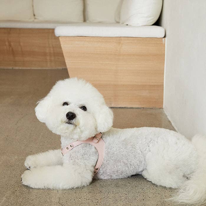 Delight Harness / Pink