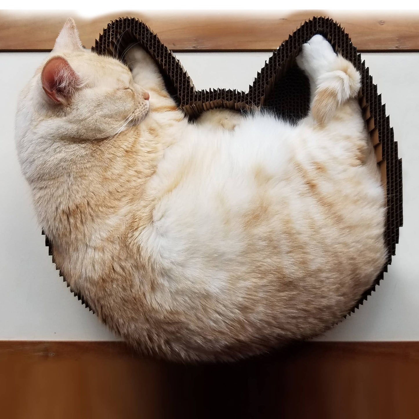 Made in the USA Cat Scratching Pad Lounge Bed