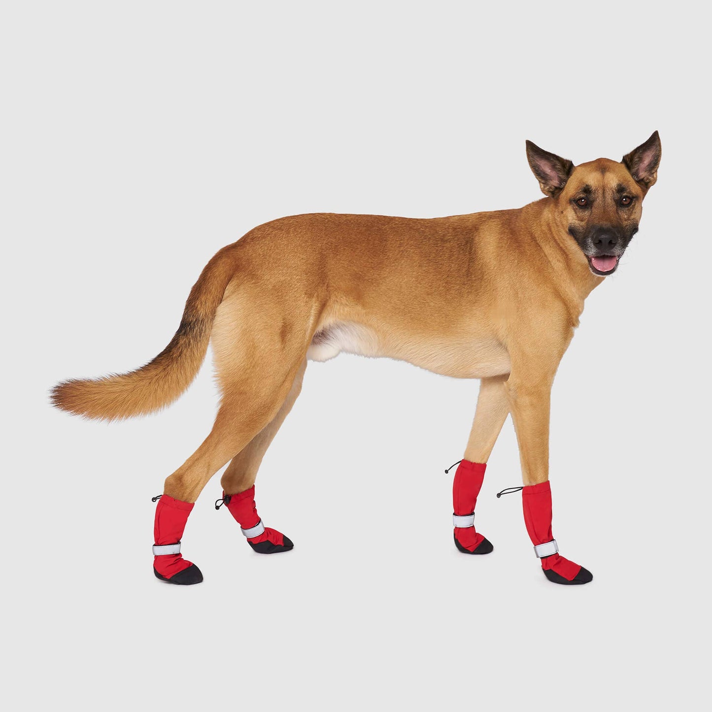 Soft Shield Boots- Dog Boots