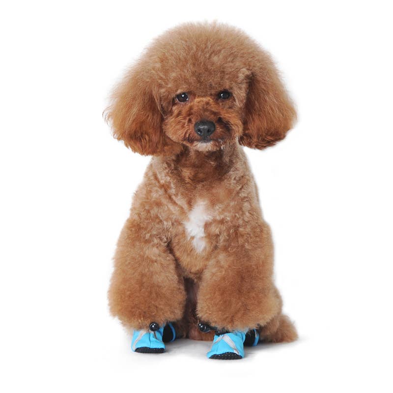 Slip-ON Paws V