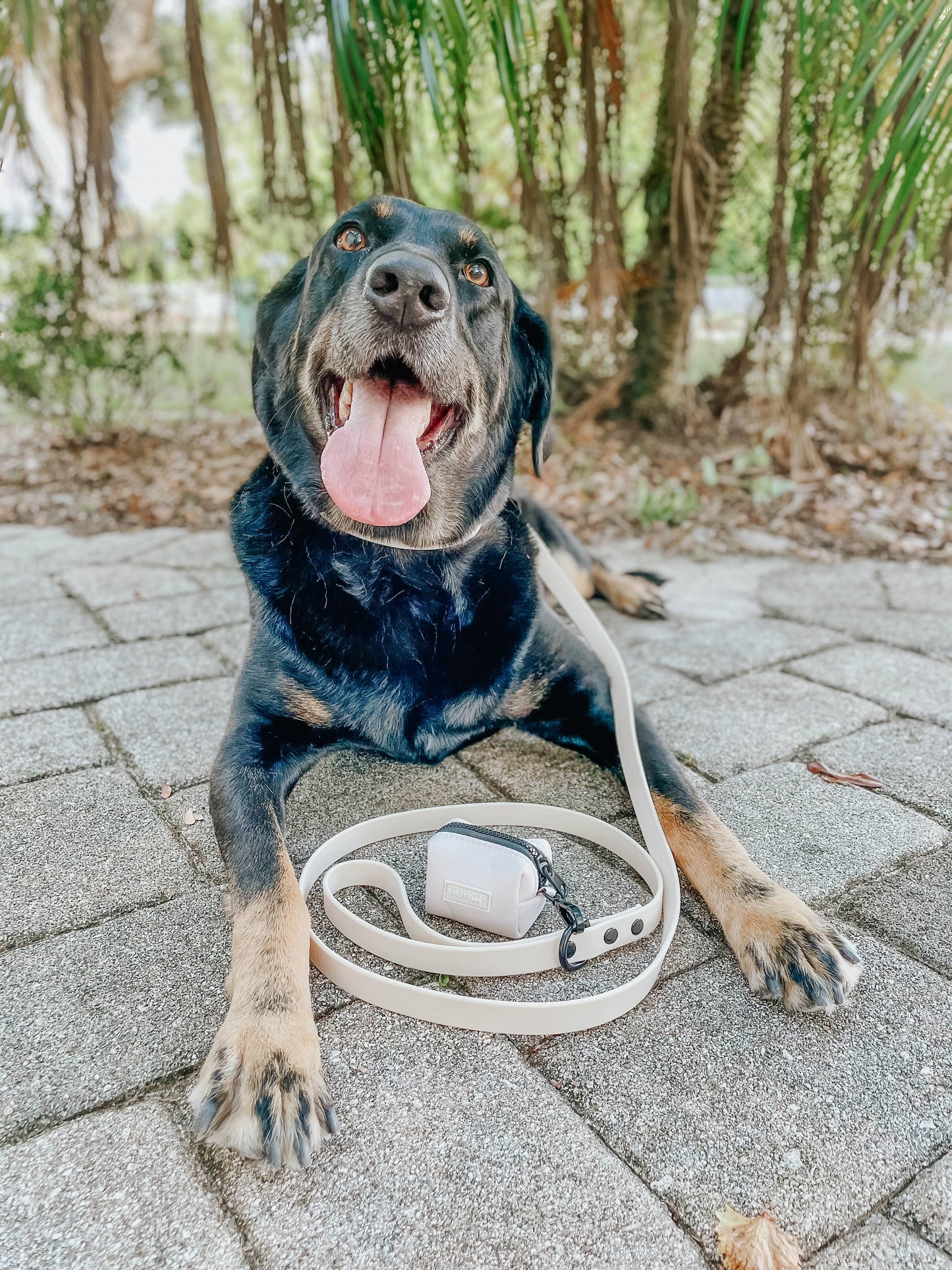 Waterproof Dog Leash - Beige