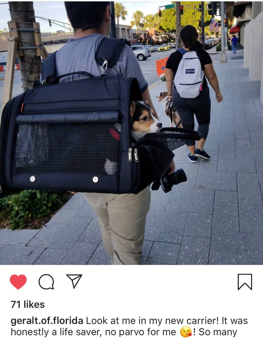 Hideaway Backpack - XXL BLACK