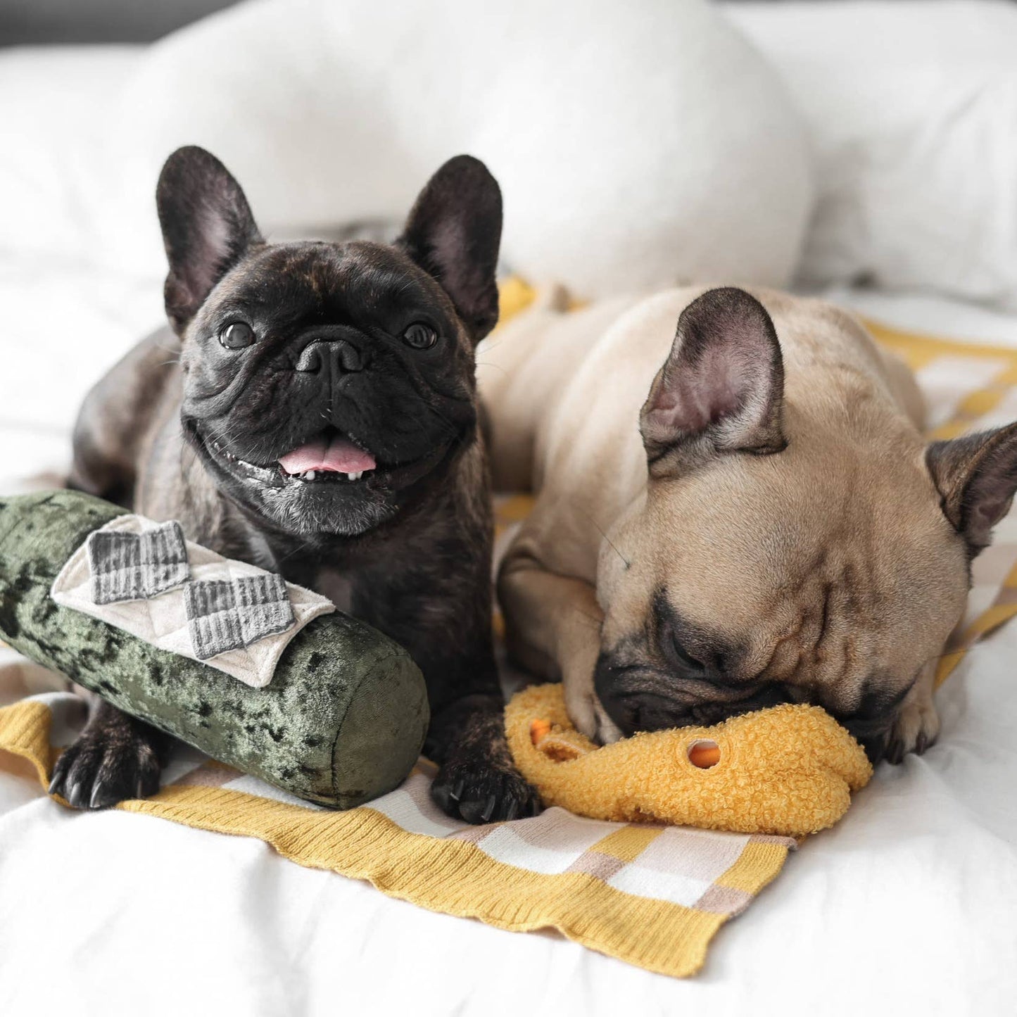 MERLOT//ENRICHMENT DOG TOY