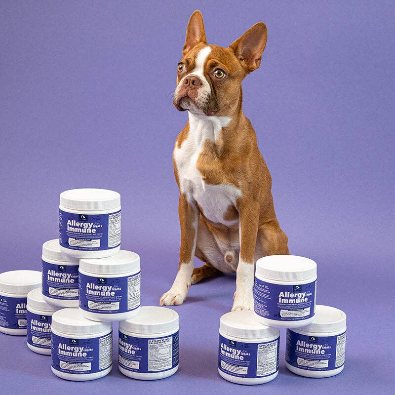 Allergy Immune Soft Chew Treats for Dogs - Pet Supplement