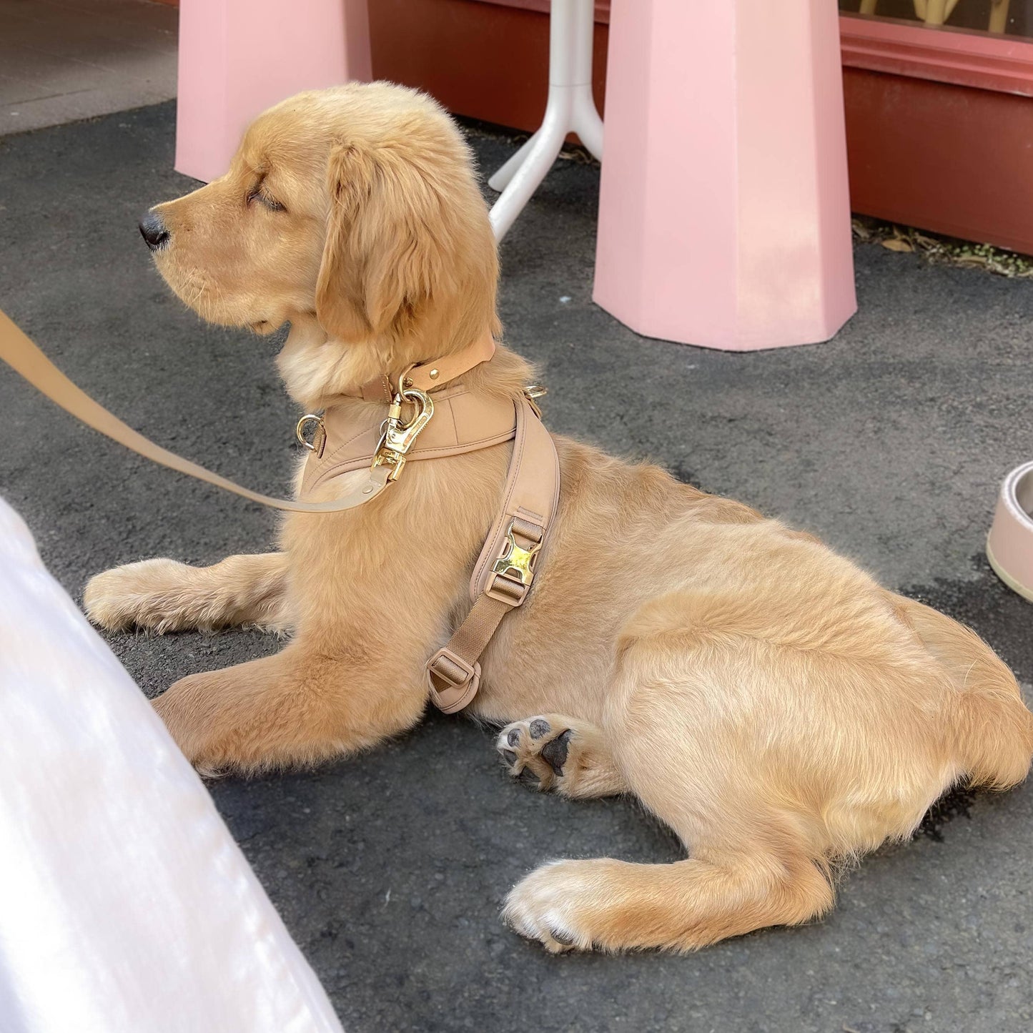 Roam Leash MAX | Hands-free Crossbody Leash | 3 Colors