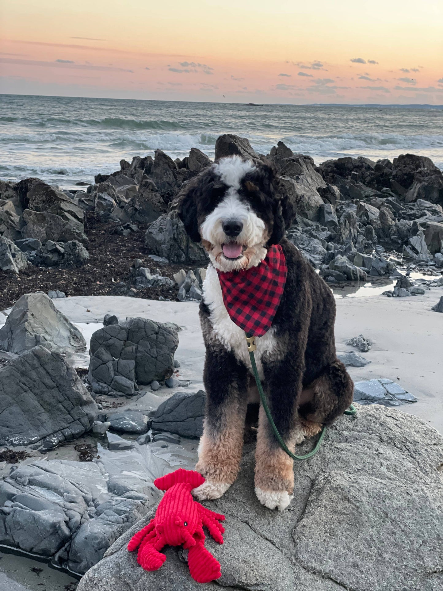 Tall Tails Crunch Plush Lobster Dog Toy - 14"