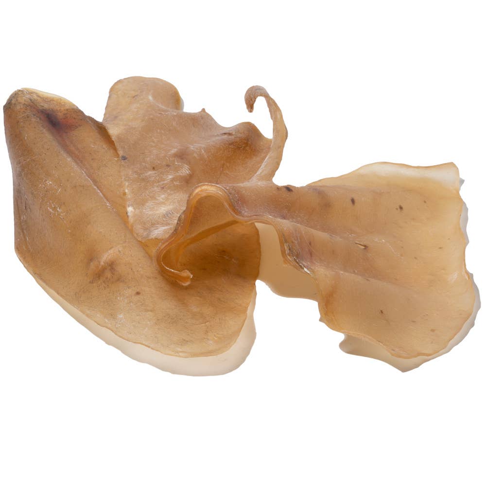 Cow Ears single