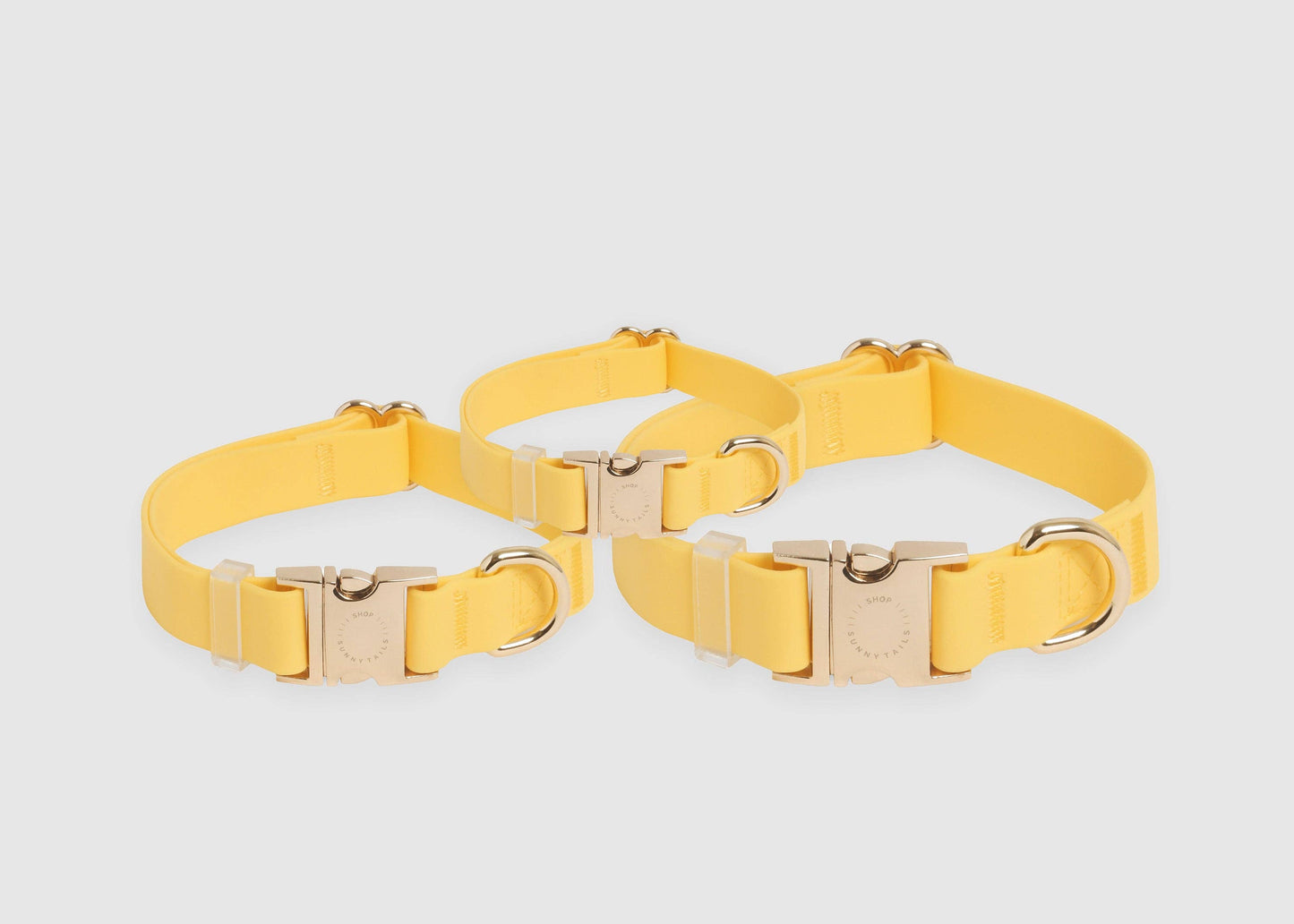 Dandelion Yellow Waterproof Dog Collar