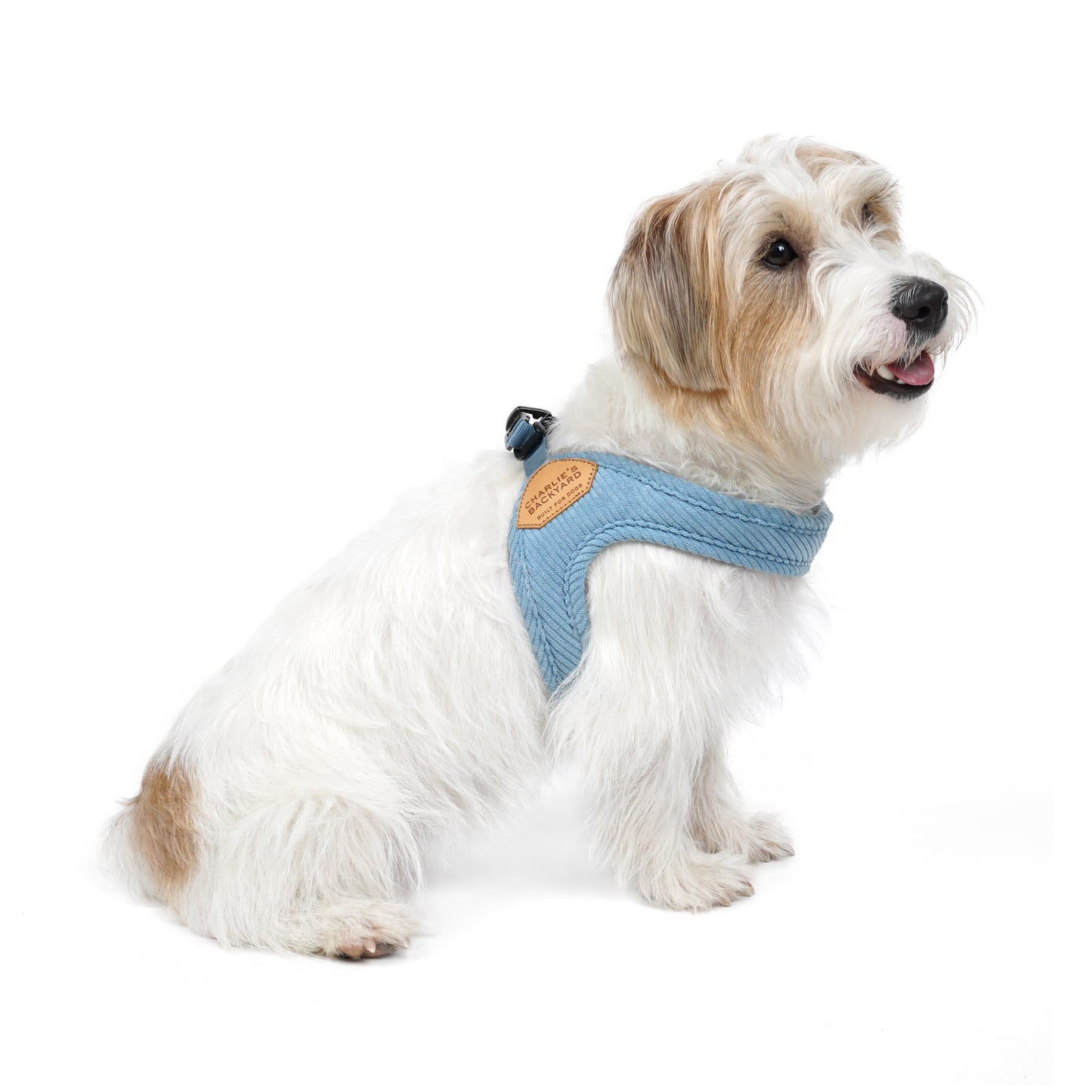 Roy Buckle Up Easy Harness - Baby Blue