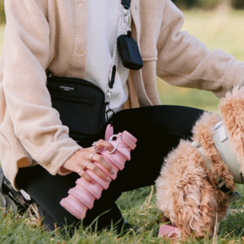 Collapsible Water Bottle - Pink
