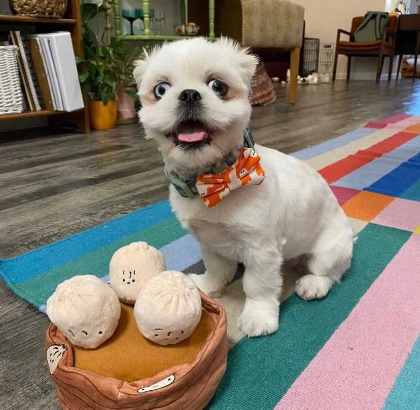 Dim Sum Dumplings