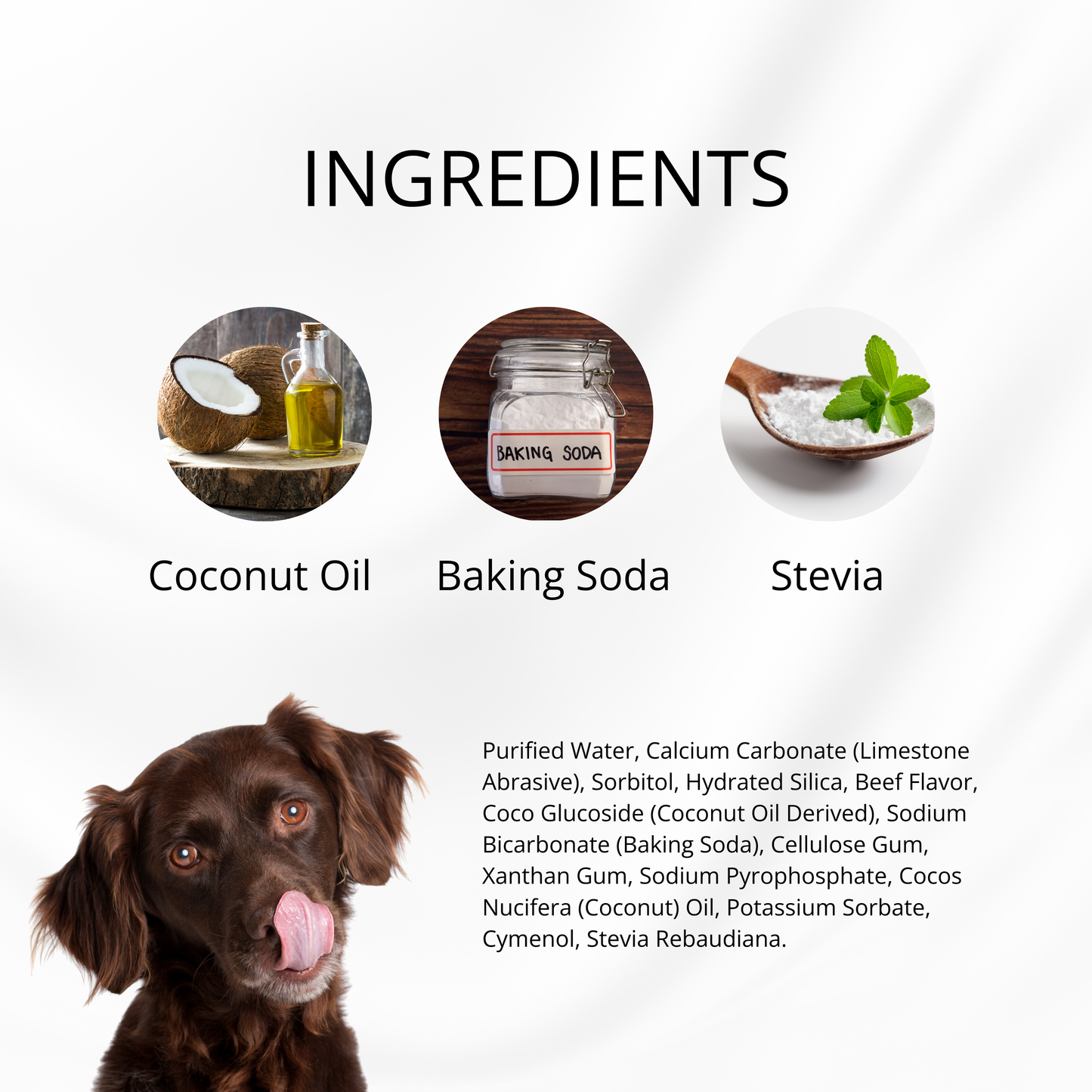 Puppy Polish Toothpaste - Filet Mignon (Beef)