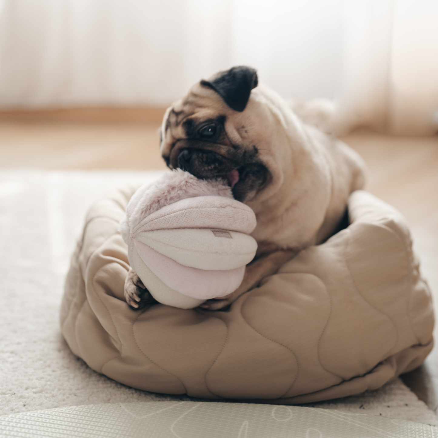 TOTO//ENRICHMENT DOG TOY: MARINE