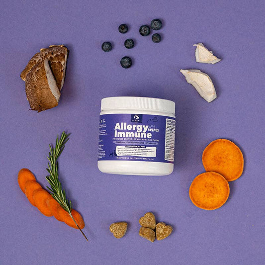 Allergy Immune Soft Chew Treats for Dogs - Pet Supplement