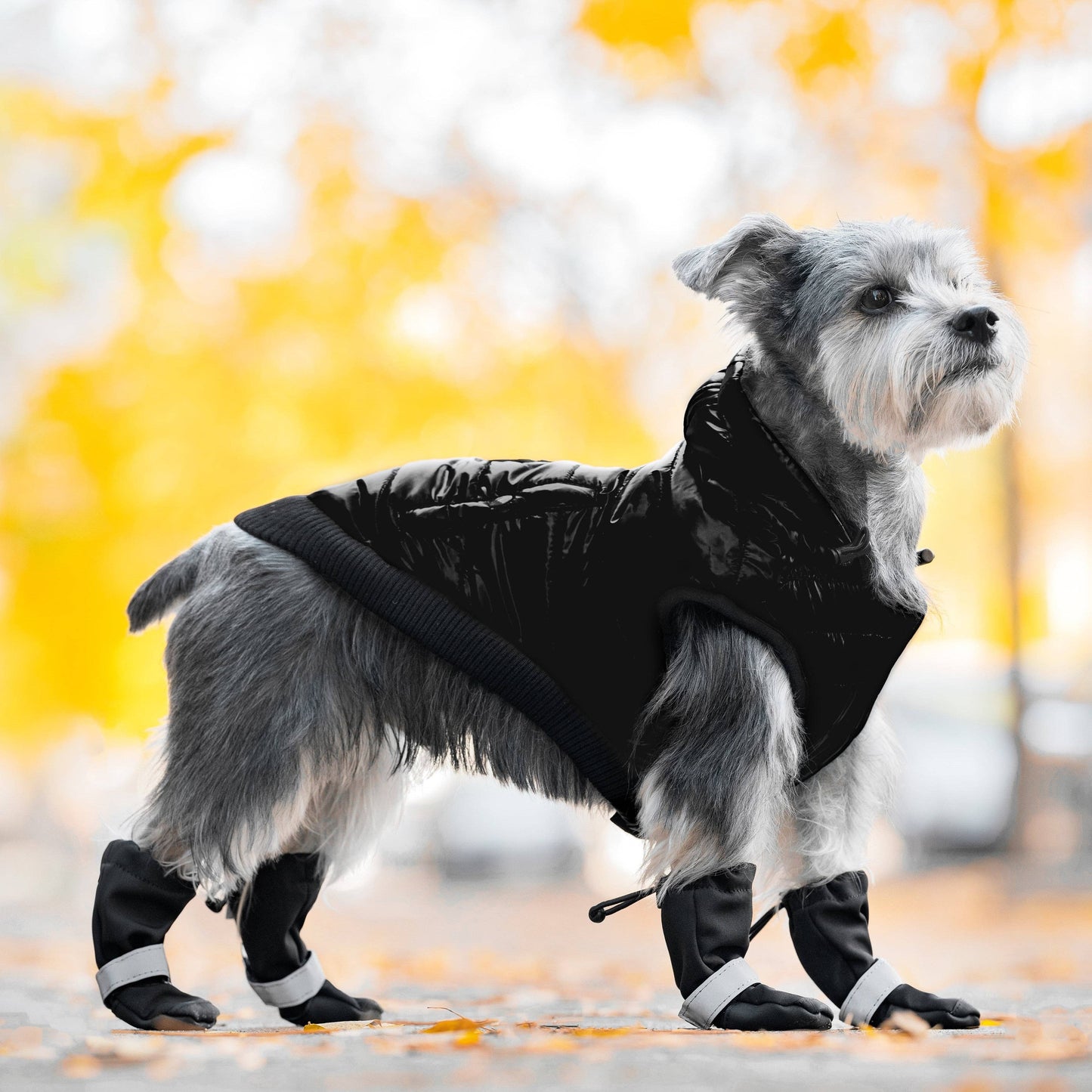 Soft Shield Boots- Dog Boots