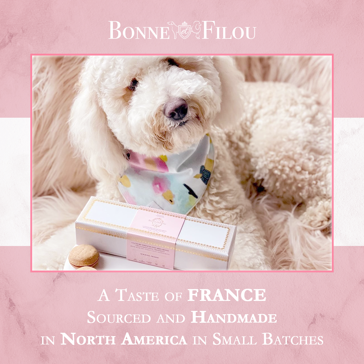 3-ct Strawberry Macaron Dog Treats - Valentines Day Gift