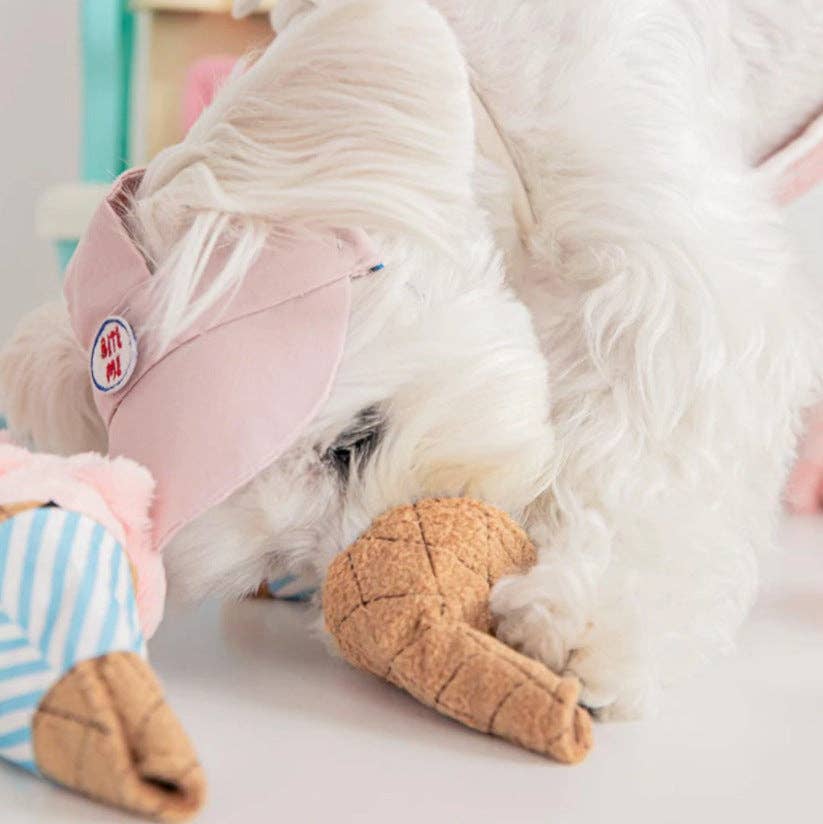 Petkin - Icecream Shape Dog Toy: Blue