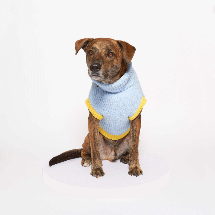 Dog Bless Sweater
