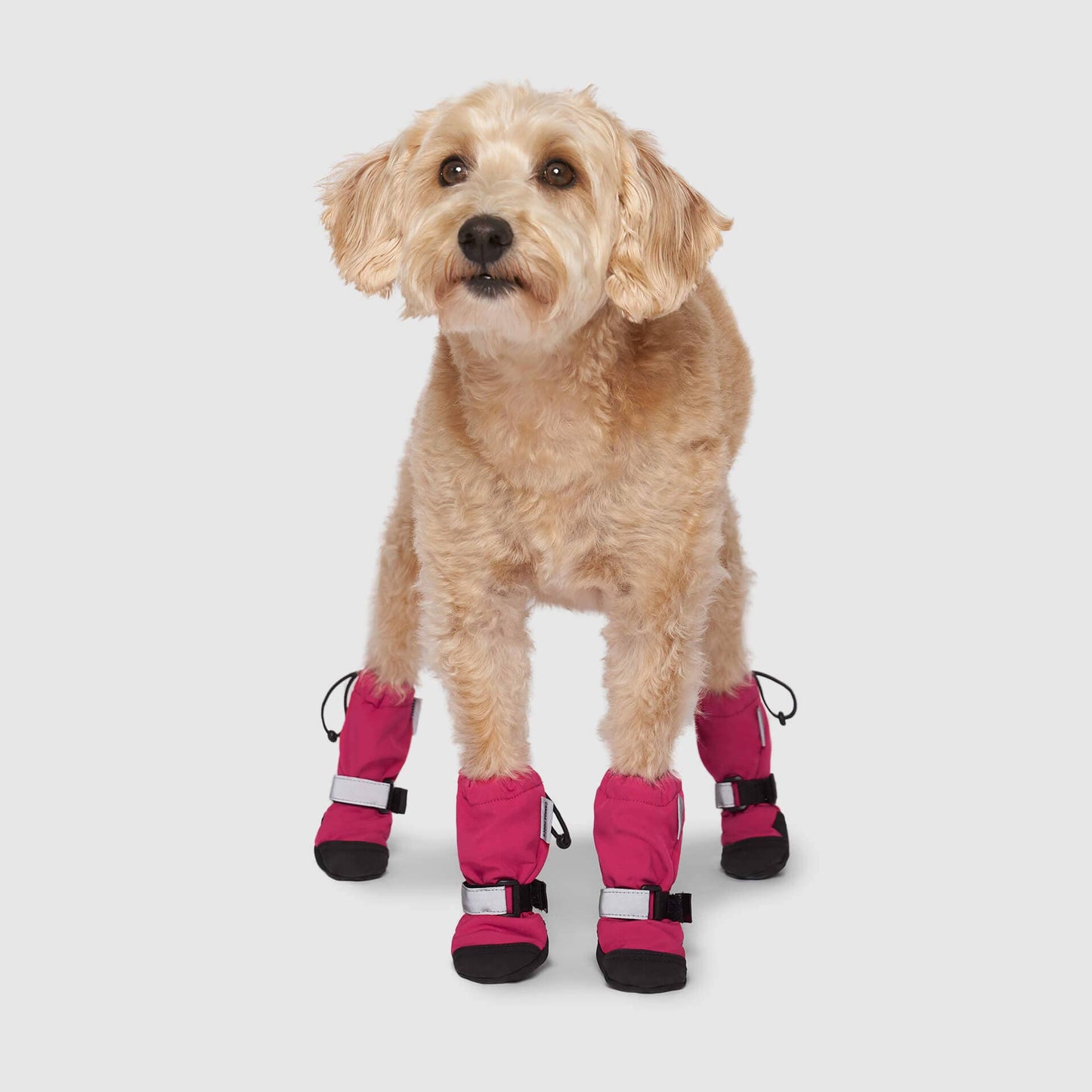 Soft Shield Boots- Dog Boots