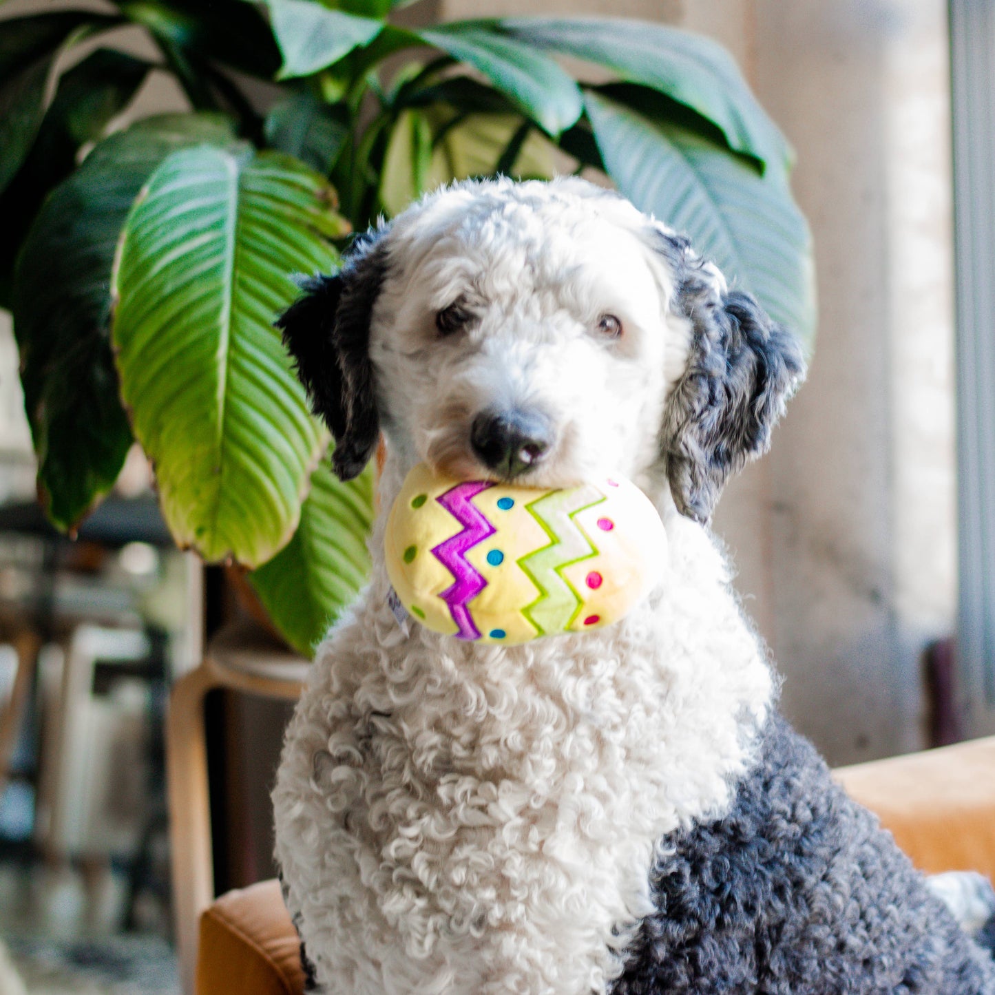 Plush Easter Egg Dog Toy with Squeaker