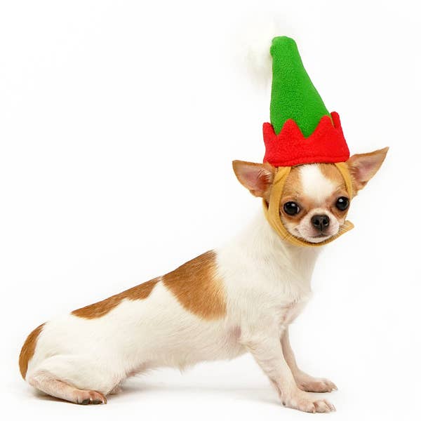 Elf Hat