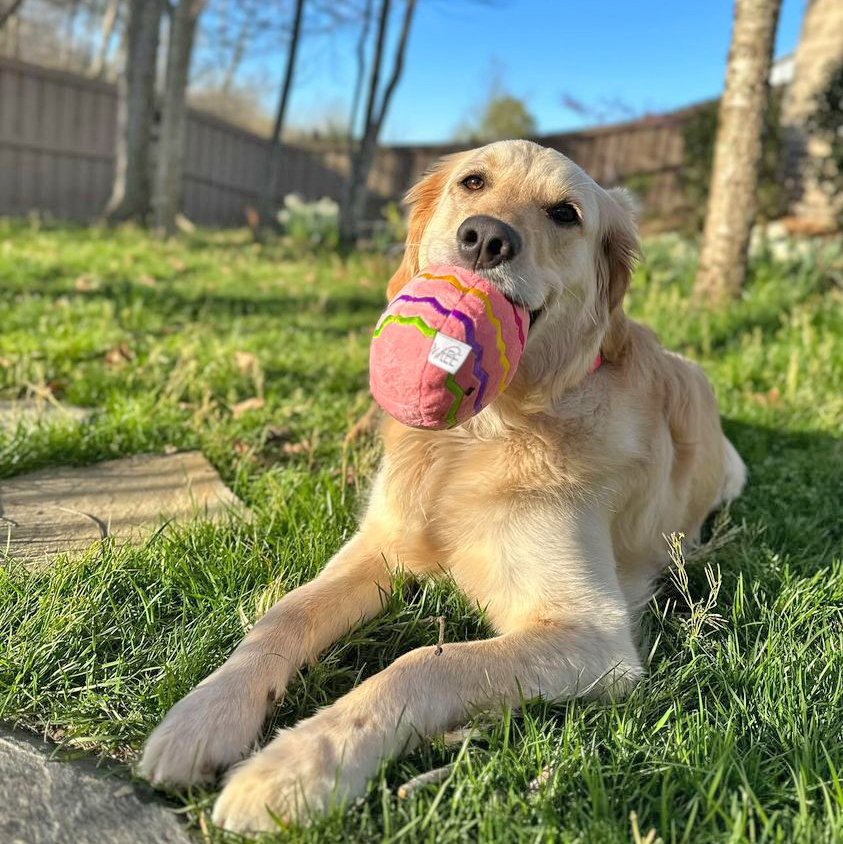 Easter Egg Plush Dog Toy - Pink