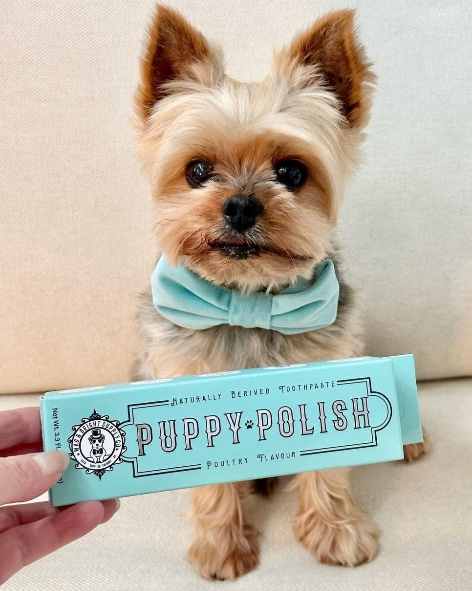 Puppy Polish Toothpaste - Filet Mignon (Beef)