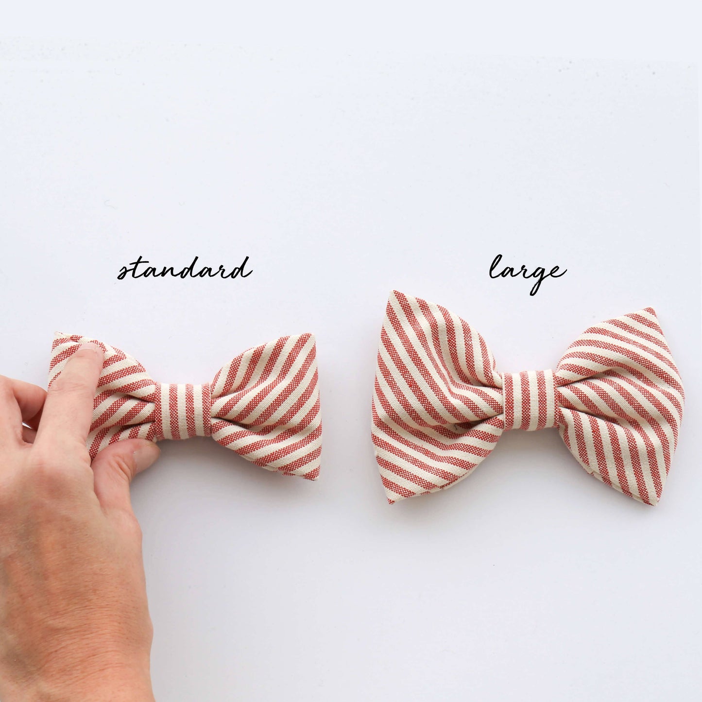 Onyx Dog Bow Tie: Standard