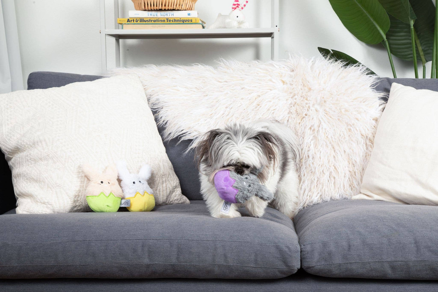 Easter Bunny Egg Dog Toys