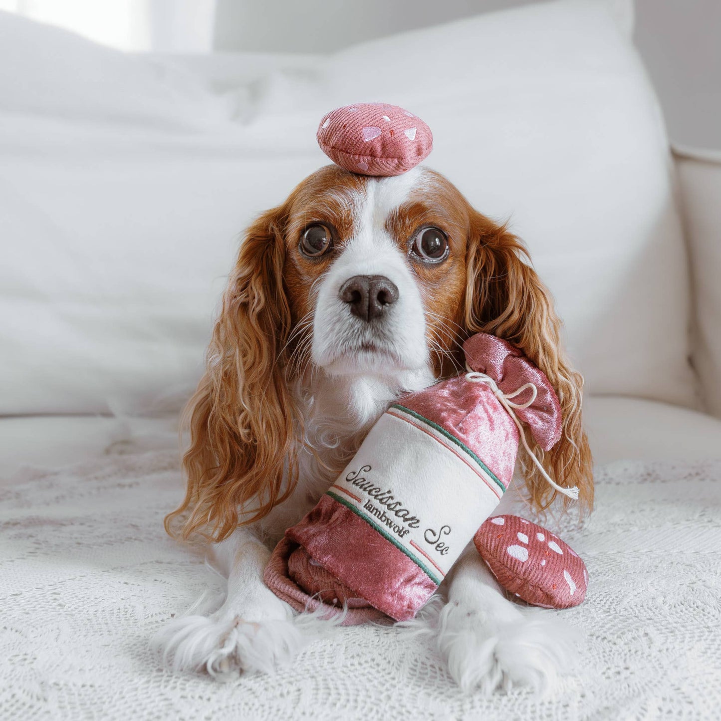 SAUCISSON SEC//ENRICHMENT DOG TOY