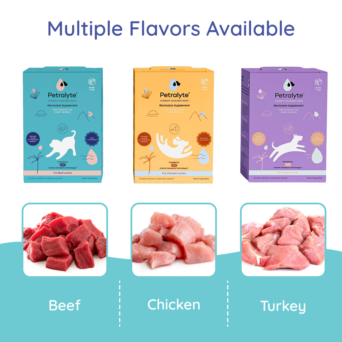 Dog Electrolyte and Joint Supplement | Beef Lovers