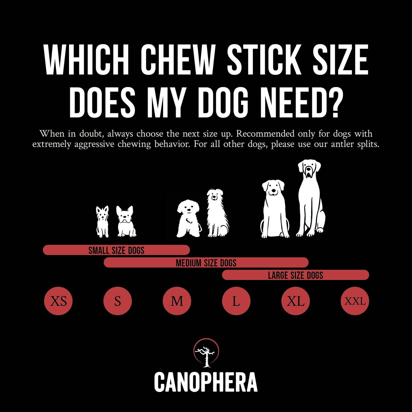 Dog Chew Made of Red Deer Antlers.: English / S
