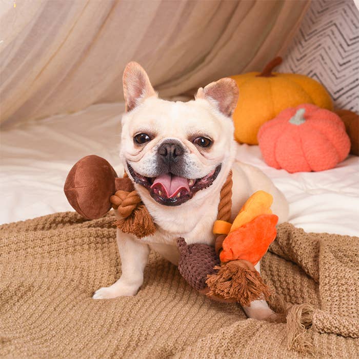 HugSmart Pet - Autumn Tailz | Autumn Acorn