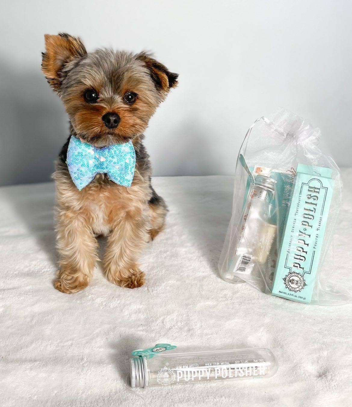 Puppy Polish Toothpaste - Filet Mignon (Beef)