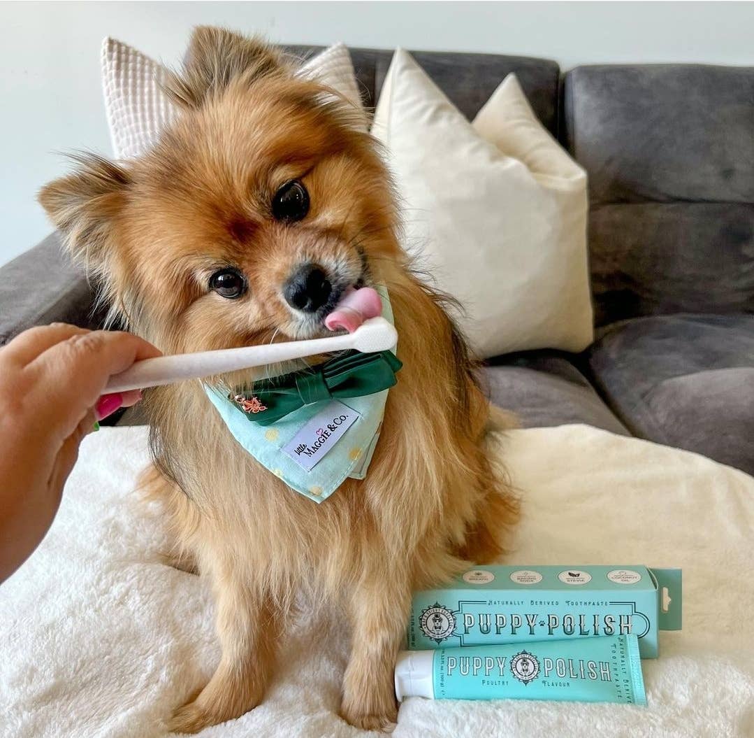 Puppy Polish Toothpaste - Filet Mignon (Beef)