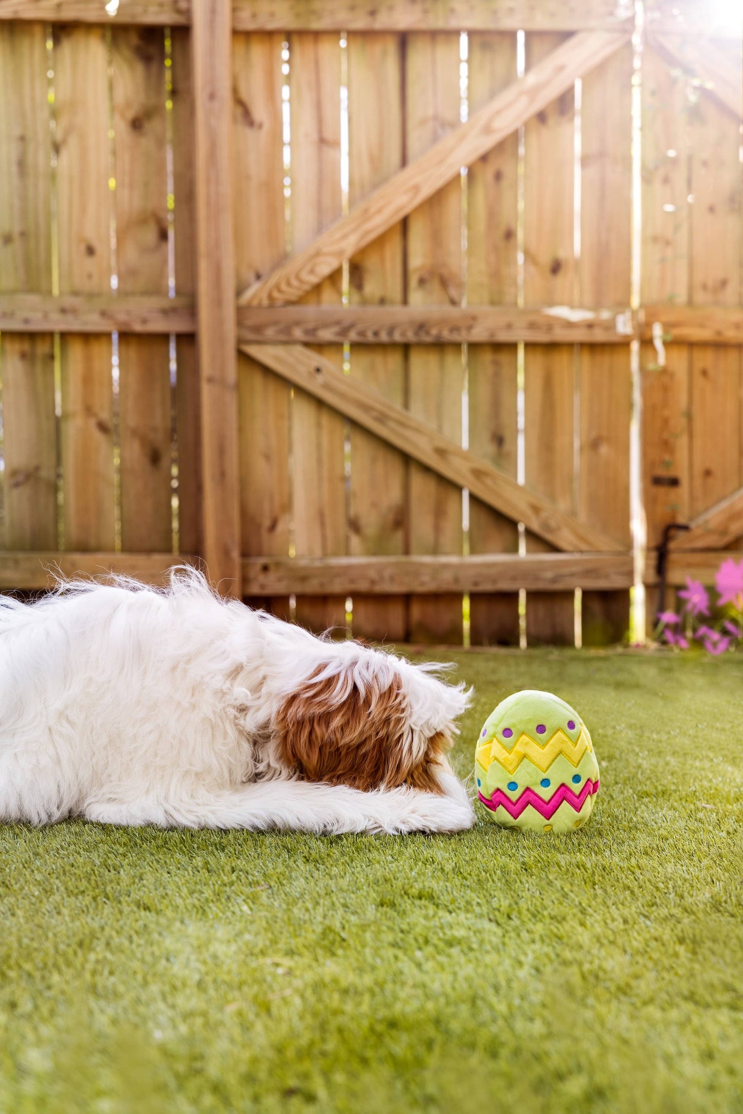 Plush Easter Egg Dog Toy with Squeaker