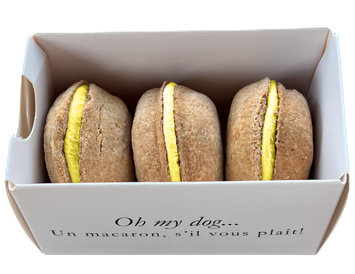 3-ct Birthday Cake Macaron Dog Treats - Valentines Day Gift