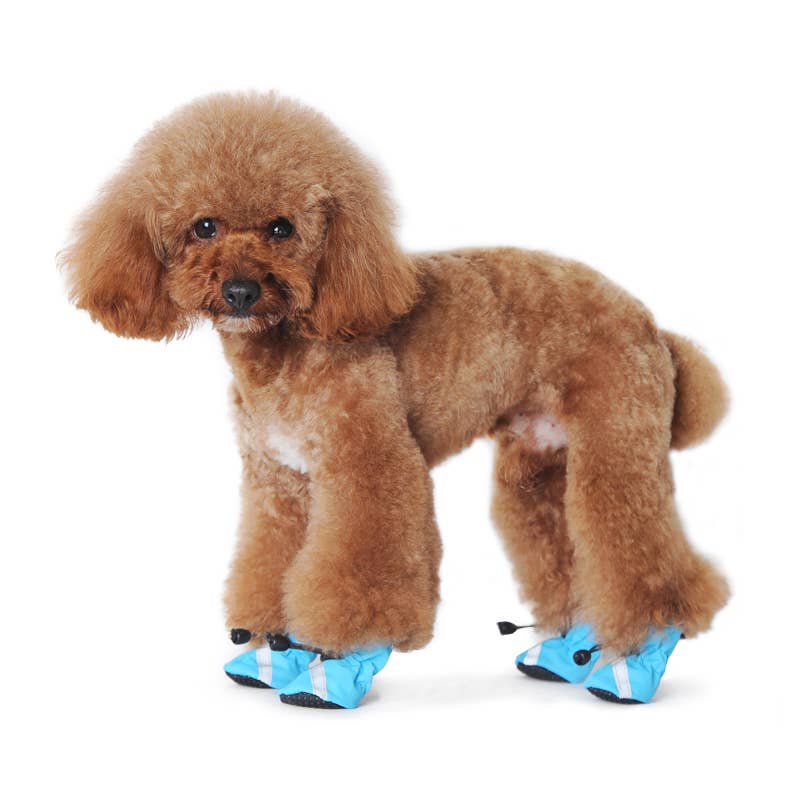 Slip-ON Paws V