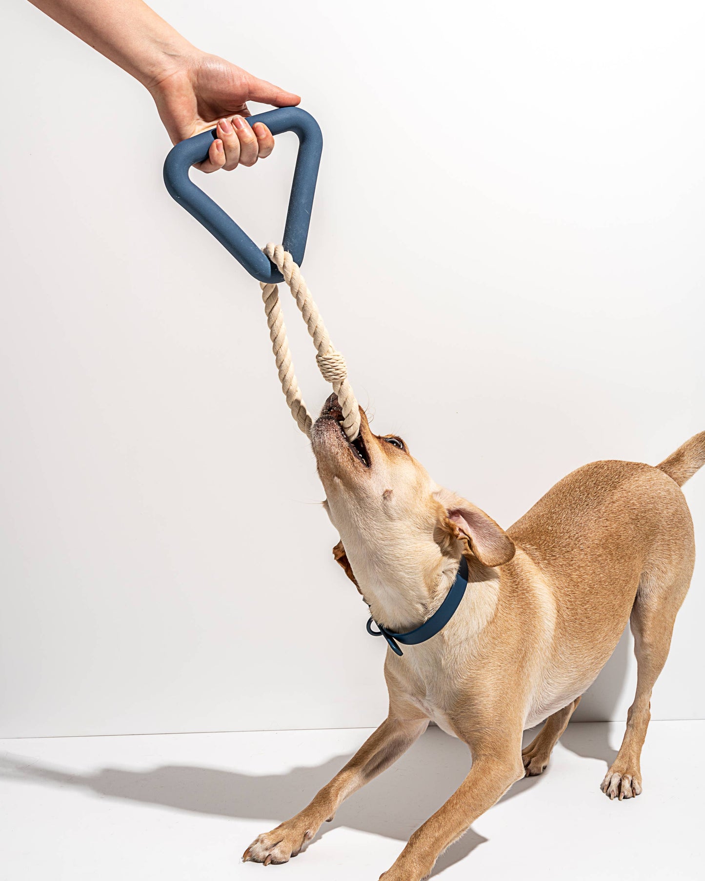 Triangle Tug Dog Chew Toy: SMALL / Strawberry