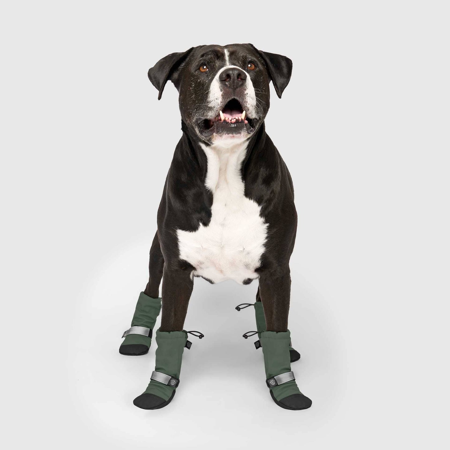 Soft Shield Boots- Dog Boots