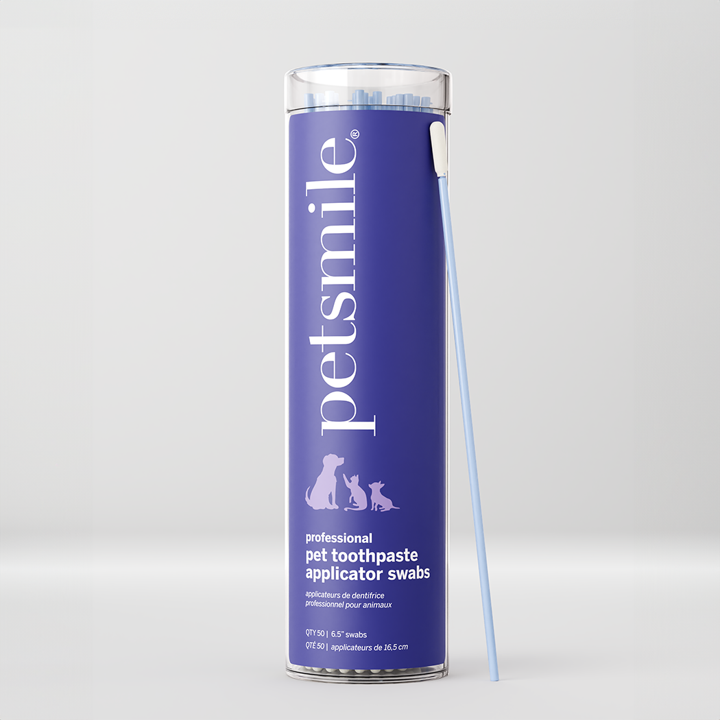 Professional Toothpaste Applicator Swabs