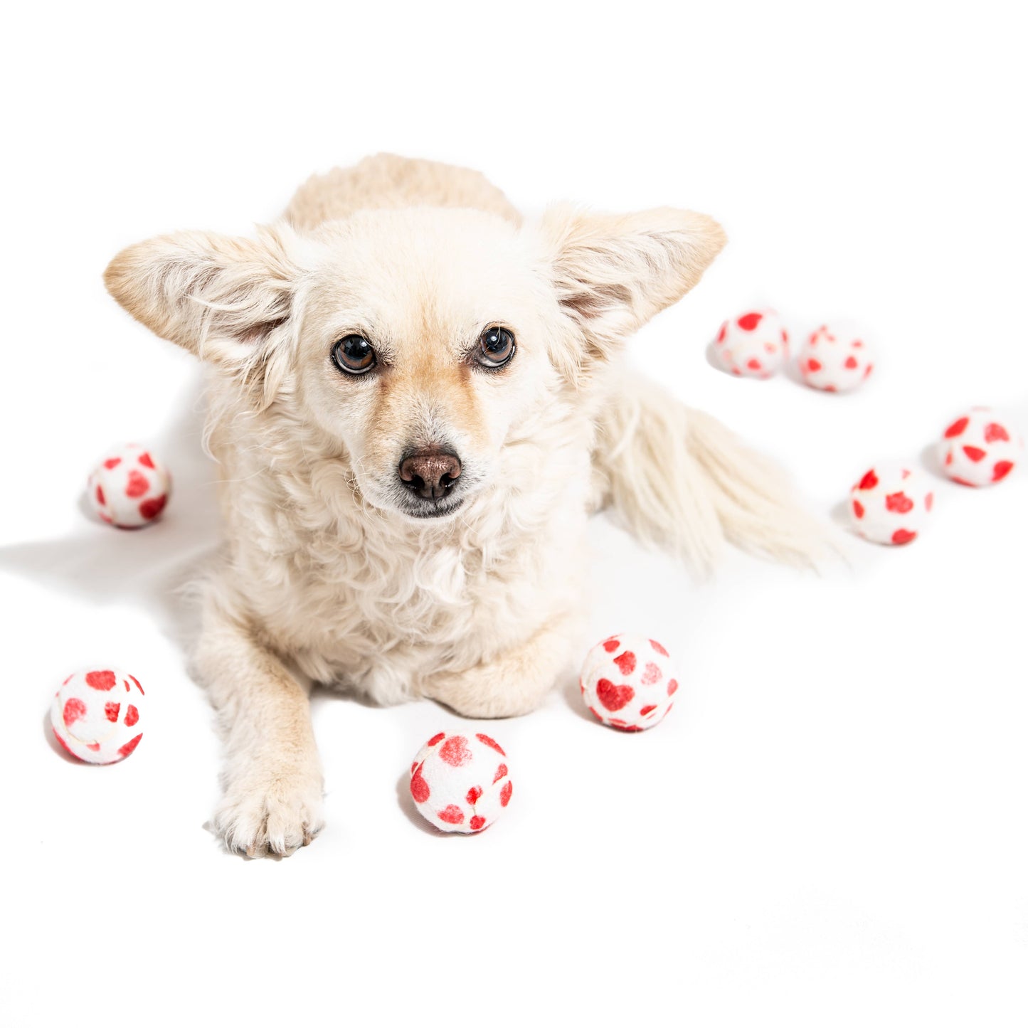 Valentine's Hearts Dog Tennis Balls: Regular