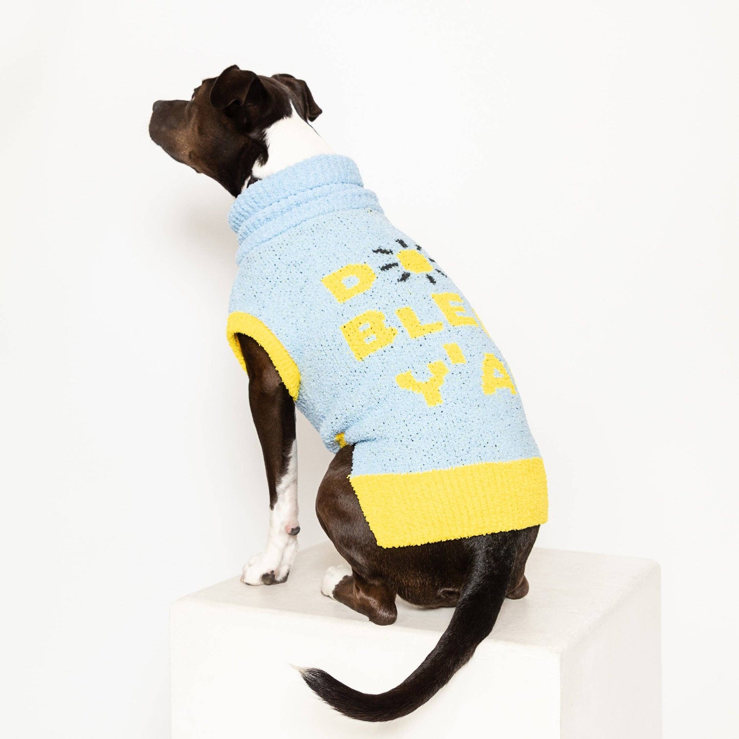 Dog Bless Sweater
