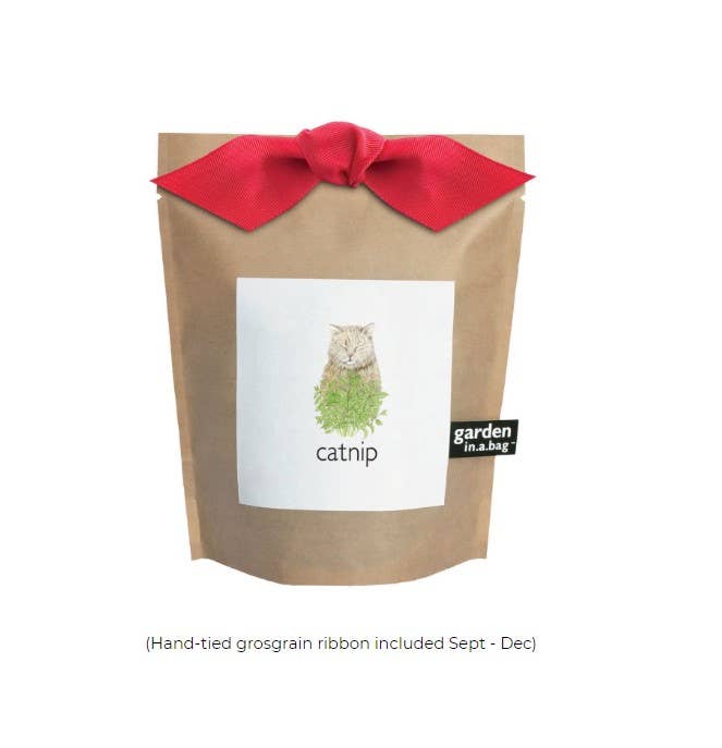 Garden in a Bag | Catnip