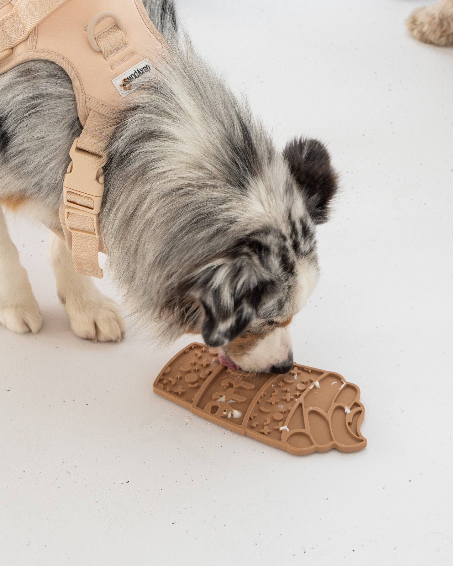 Puppacinnio Licking Mat