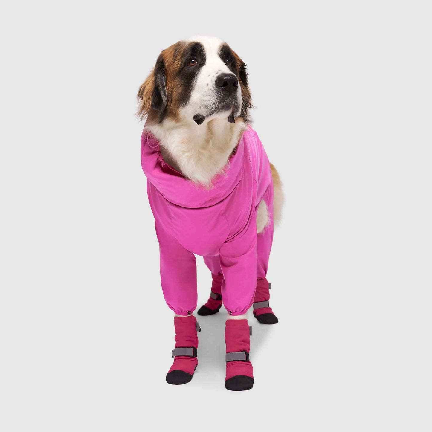 Soft Shield Boots- Dog Boots