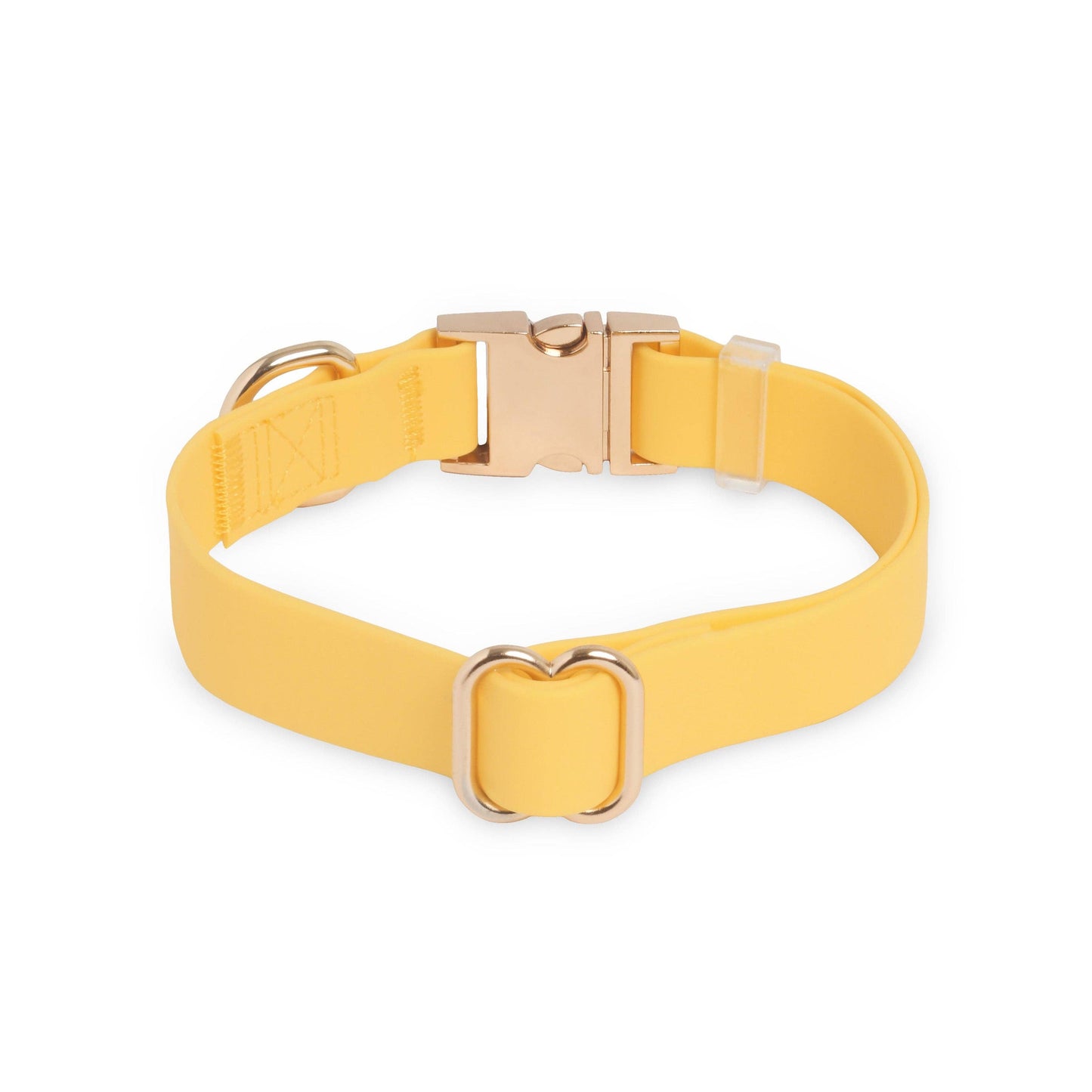 Dandelion Yellow Waterproof Dog Collar