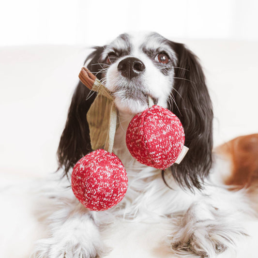 CHERRY POP//ENRICHMENT DOG TOY