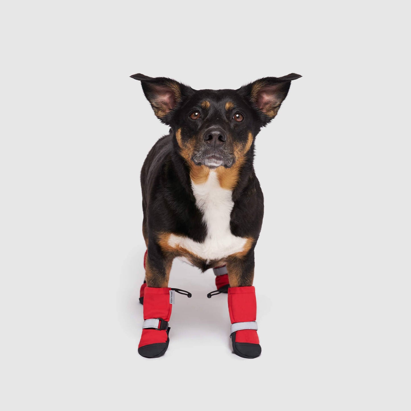Soft Shield Boots- Dog Boots